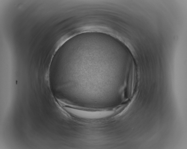 X0000111941529200908101152