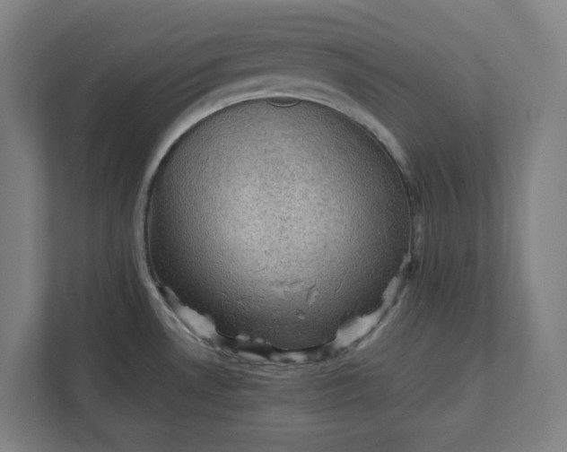 X0000111941530200908101152