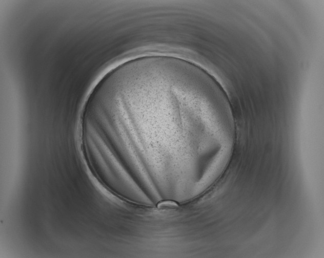 X0000111941531200908101152