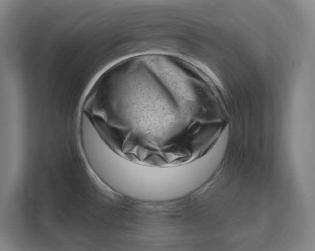 X0000111941532200908101152