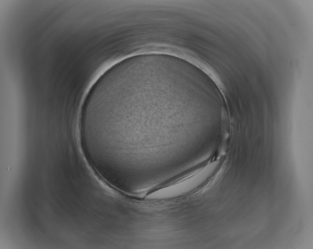 X0000111941533200908101152