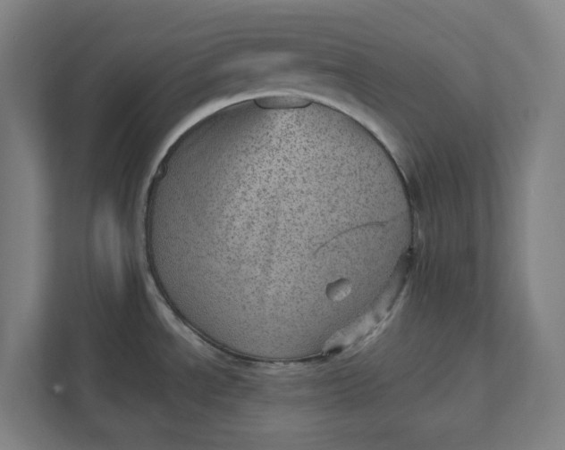 X0000111941534200908101152