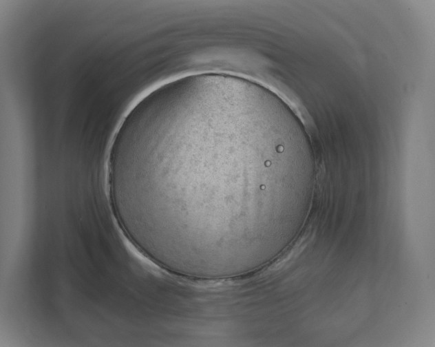 X0000111941535200908101152