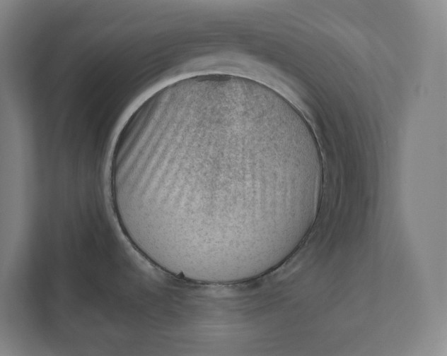 X0000111941536200908101152