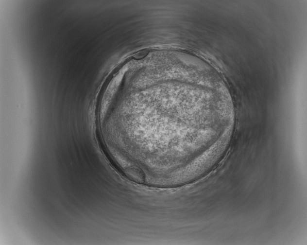 X0000111940002200908171307