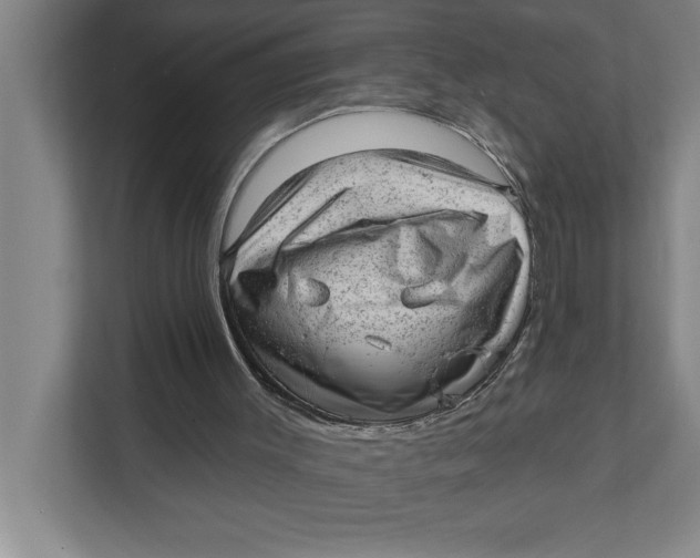 X0000111940003200908171307