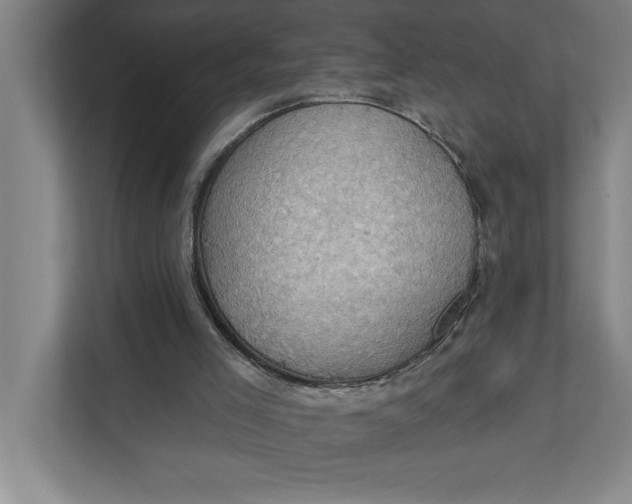 X0000111940005200908171307