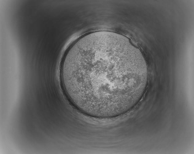 X0000111940006200908171307