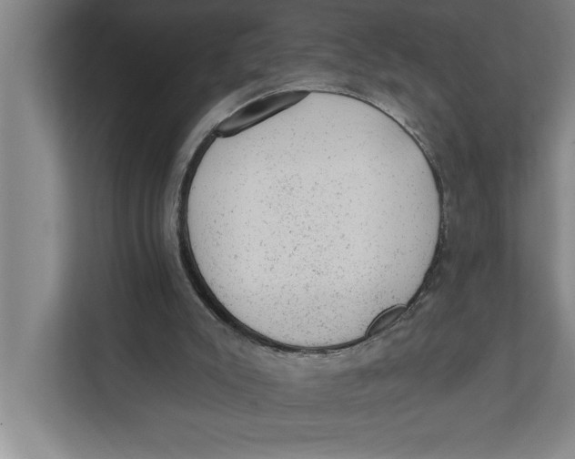 X0000111940007200908171307