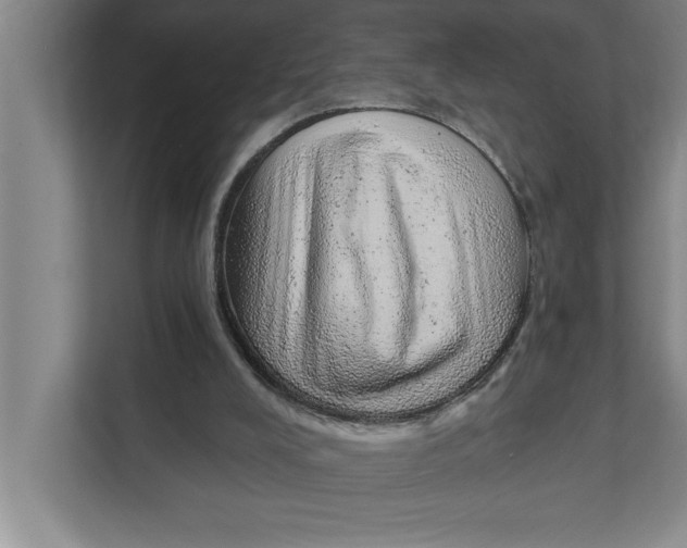 X0000111940008200908171307