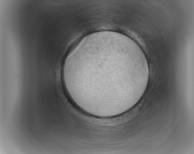 X0000111940010200908171307