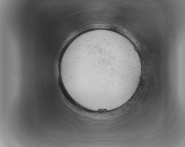 X0000111940011200908171307