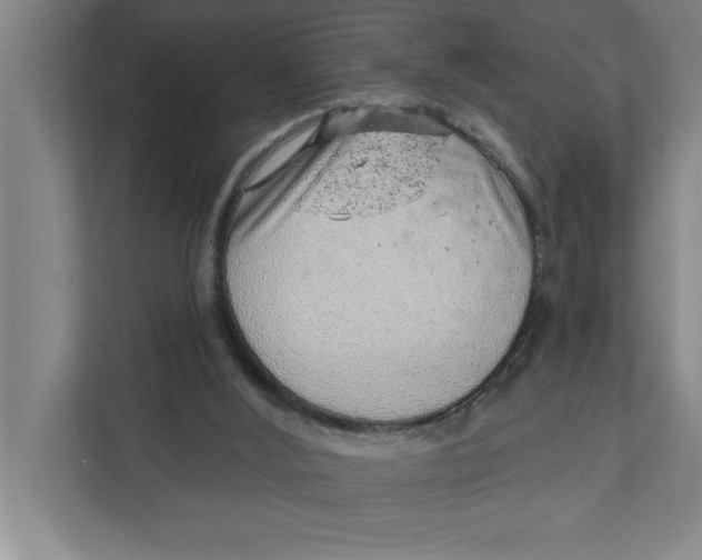 X0000111940012200908171307