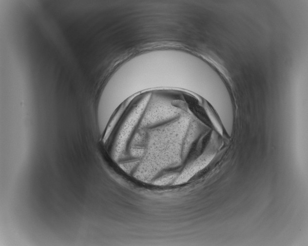 X0000111940013200908171307