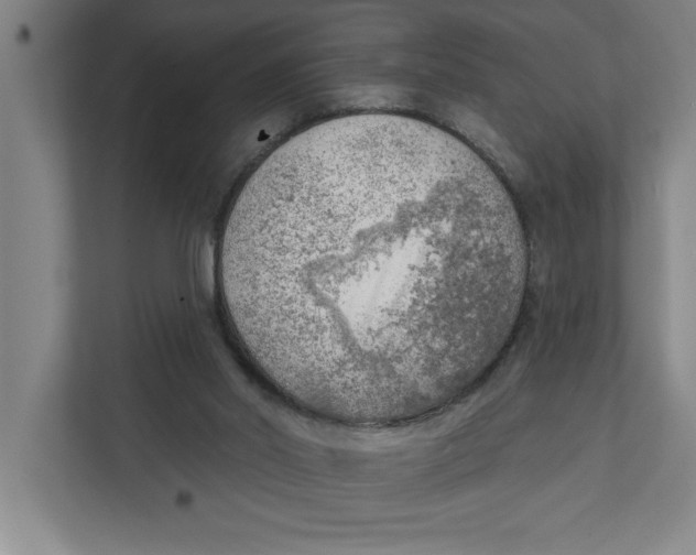 X0000111940014200908171307