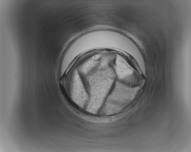 X0000111940015200908171307