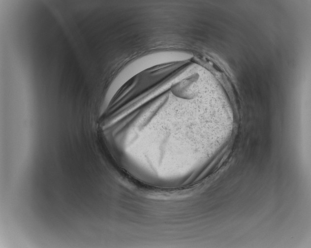 X0000111940017200908171307