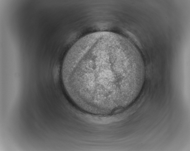 X0000111940018200908171306