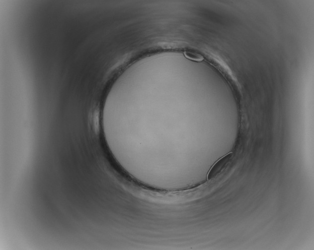 X0000111940019200908171306