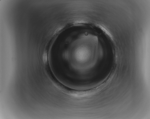 X0000111940021200908171306