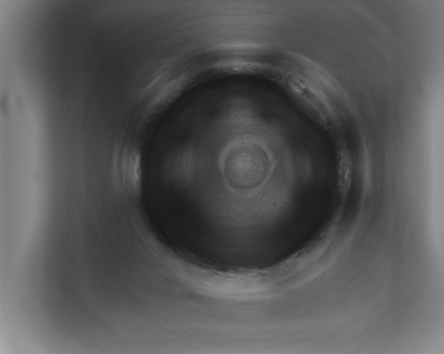 X0000111940024200908171306