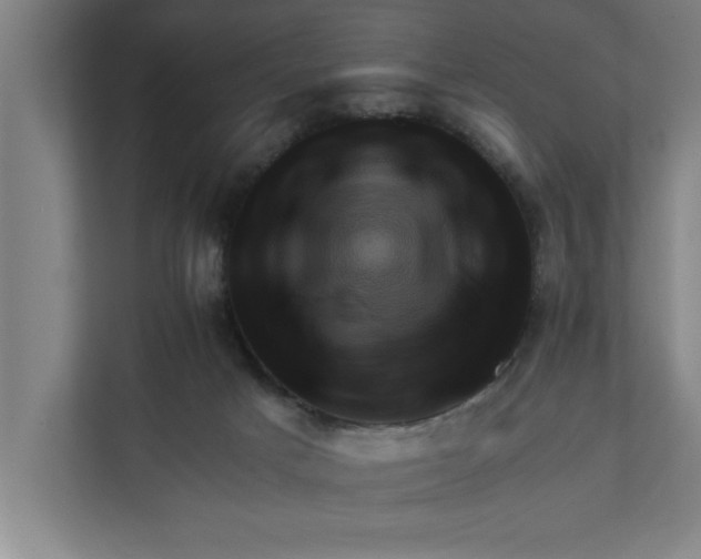 X0000111940025200908171306