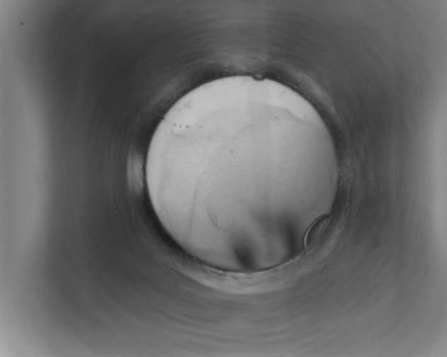 X0000111940027200908171306