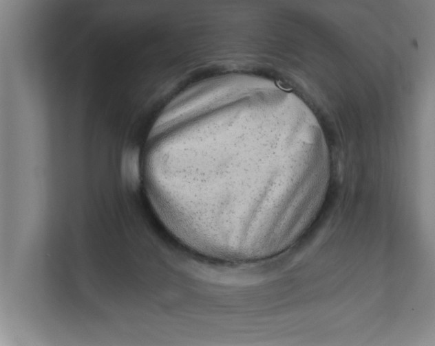 X0000111940028200908171306