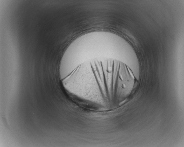 X0000111940029200908171306