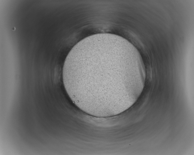 X0000111940030200908171306