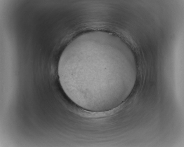 X0000111940031200908171306