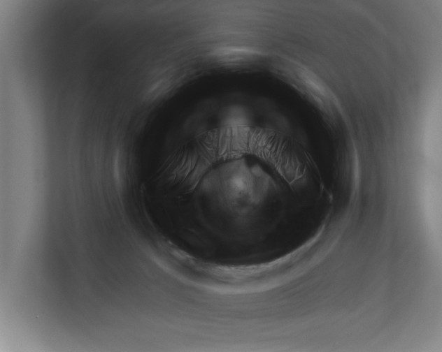 X0000111940033200908171306