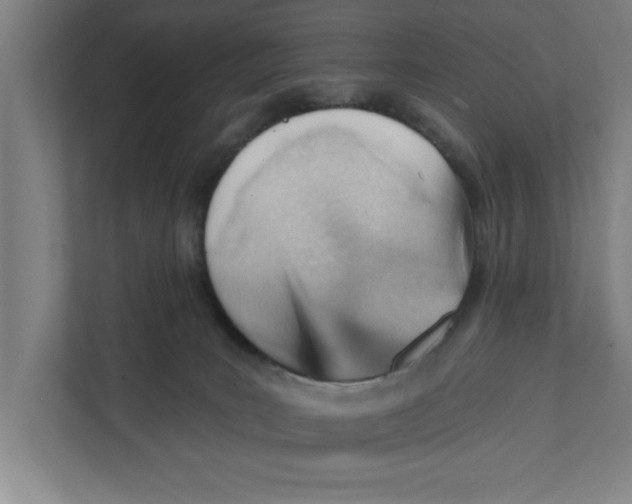 X0000111940035200908171306