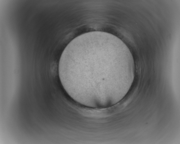 X0000111940036200908171306