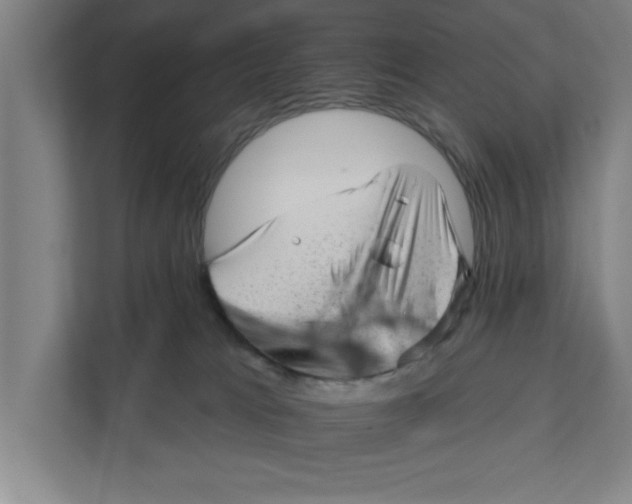 X0000111940037200908171306