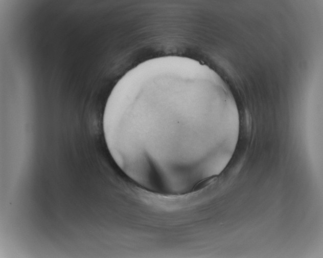 X0000111940039200908171306