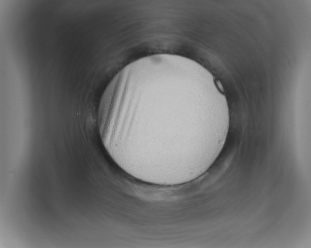 X0000111940040200908171306