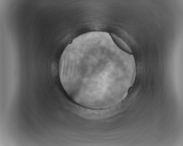 X0000111940043200908171306