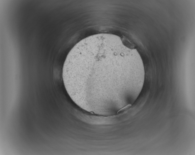 X0000111940044200908171306