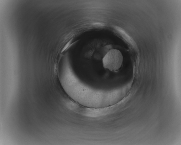 X0000111940045200908171306