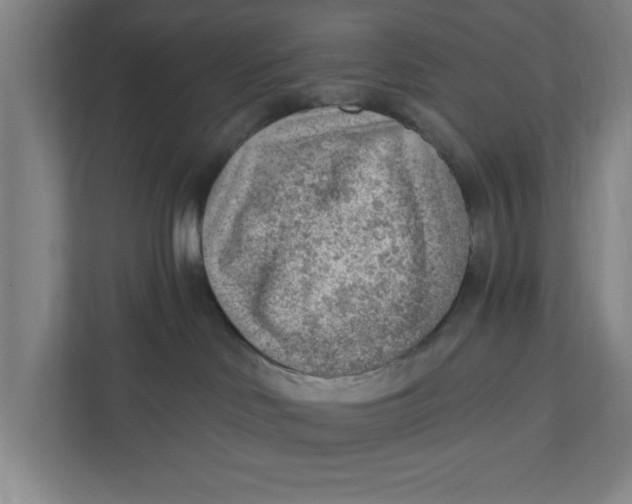 X0000111940046200908171306