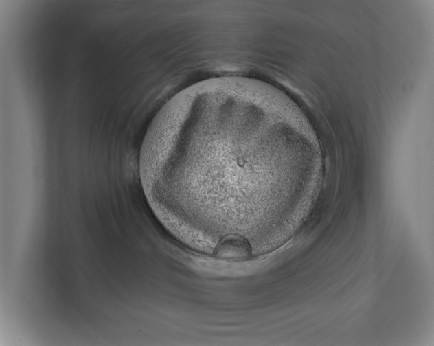 X0000111940048200908171306