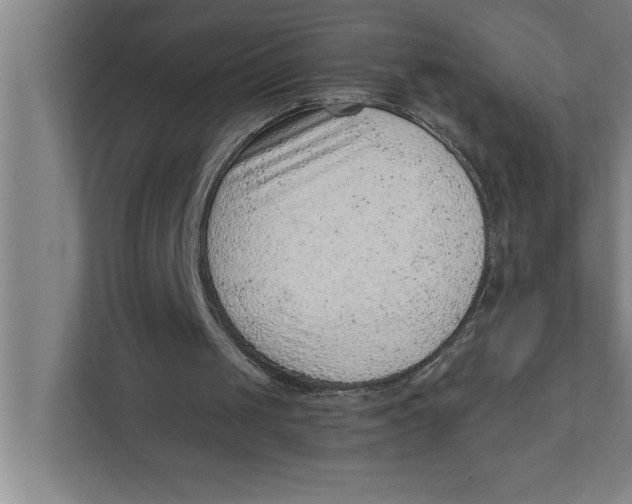 X0000111940049200908171305