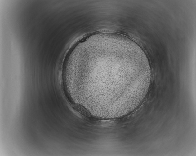 X0000111940050200908171305