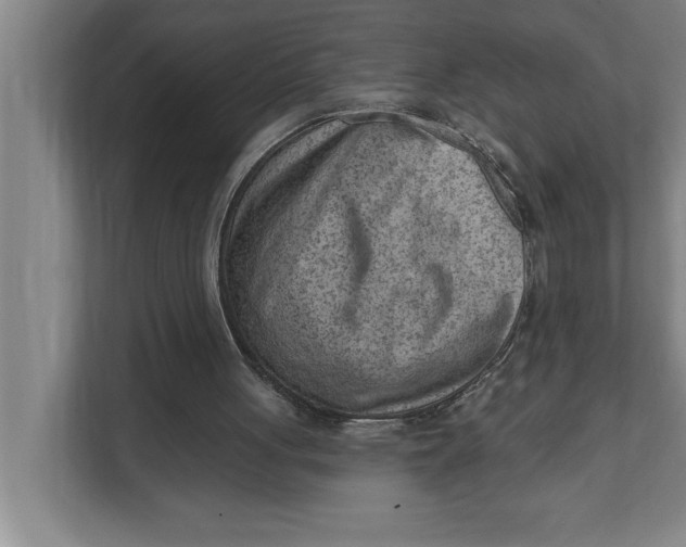 X0000111940051200908171305