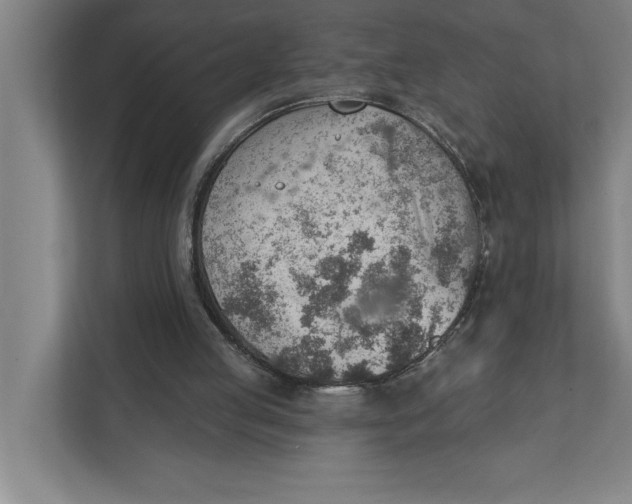 X0000111940053200908171306