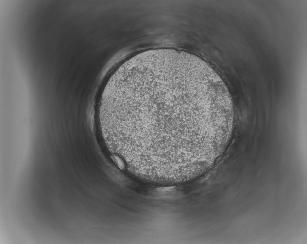 X0000111940054200908171306