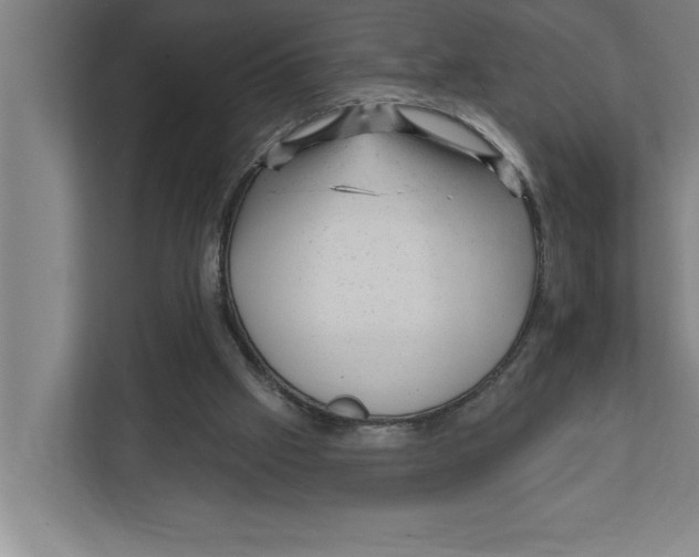 X0000111940057200908171306