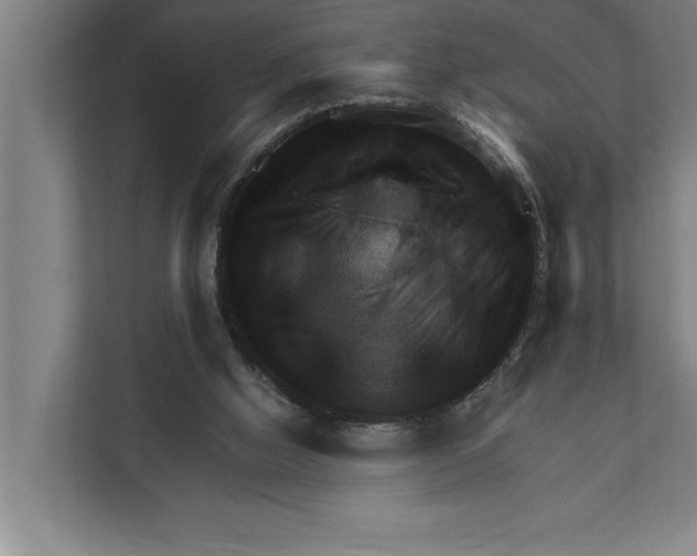 X0000111940058200908171306