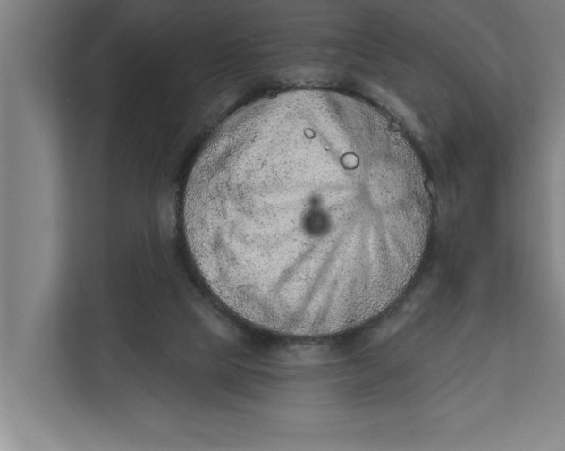 X0000111940065200908171306